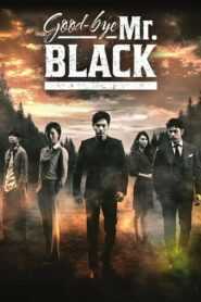 Goodbye Mr. Black (Tagalog Dubbed) (Complete)