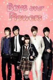 Boys Over Flowers (Tagalog Dubbed) (Complete)