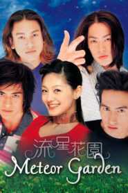 Meteor Garden 2001 (Tagalog Dubbed) (Complete)